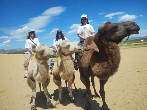Travelers with Bactrian camels