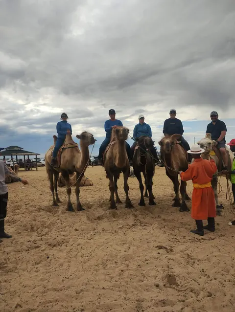 Camel riders on the sand