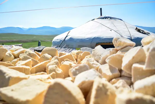 Dried curd (aaruul) in front of a ger