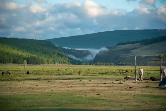 Green river valley with morning mist