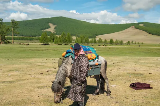Horseman preparing a packhorse on a grassy plain