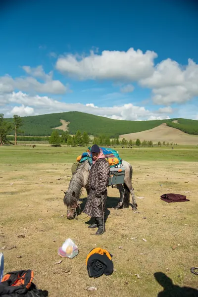 Horseman preparing a packhorse before the ride into the taiga